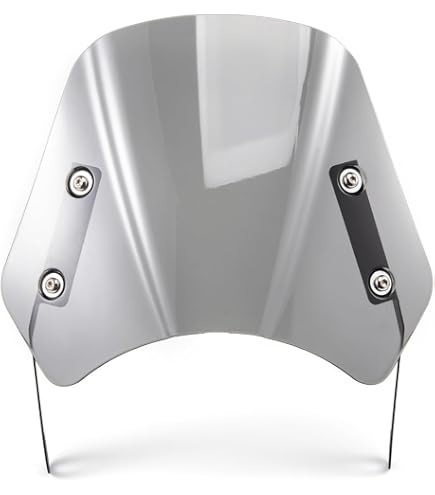 Windscreen Gilera Piaggio Runner 50-125-180-200 h : Amazon.nl
