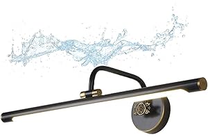 LANMOU Vintage Lumiere Miroir Salle De Bain, Rétro Lampe Miroir Salle de Bain Noir Laiton Applique Salle de Bain Laiton pour Salon Maquillage Placard, Blanc Neutre 4000K,Noir,12W/58CM