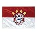 Produktbild Fahne Logo 90x60 cm FC Bayern MÜNCHEN Munich - rapeau / bandera / Flag / Flagge / Banner