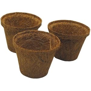 Namiba Terra 0505 CocoBasket, 3 Kokosfasertöpfe small rund 3-er Set, 9 x 9 x 7 cm