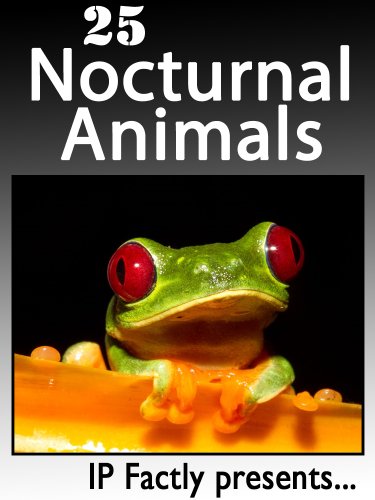 Download 25 Nocturnal Animals. Amazing facts, photos and video links to animals that prefer the night! (25 Amazing Animals Series Book 14)
