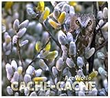 Cache-cache by 