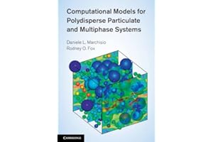 Computational Models for Polydisperse Particulate and Multiphase Systems Hardback (Cambridge Series in Chemical Engineering)