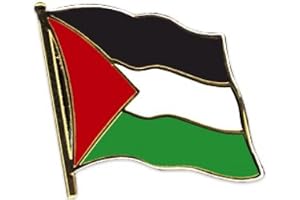 Palestina flaggan pin emblem