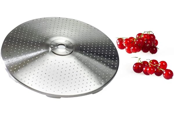 GSD 40 110-6 Grille Extra Fine pour Moulin à Légume 40010 Acier Inoxydable Argent 1 mm