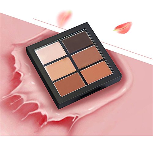 Oshide 6 Farben Concealer Concealer Palette Makeup Paletten Abdeckcreme Kit - 5