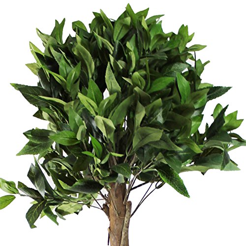 Hochwertige Kunstpflanzen in Kunststoff Topf für Wohnzimmer Büro Küche oder Bad Dekopflanzen Groß Kunstbaum XL mit Blätter Dekoration Zimmer (Var-1 120cm) - 2