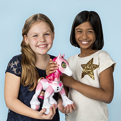 51fMIgjbgyL Zoomer - 6036997 - Pony