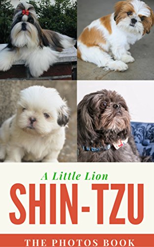 Shih Tzu A Little Lion Photo Book A Dog Photo Book Series