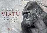 SILBERRÜCKEN VIATU (Wandkalender 2018 DIN A3 quer): Porträts vom Gorilla-Mann VIATU (Monatskalender, 14 Seiten ) (CALVENDO Tiere) by 