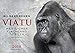 SILBERRÜCKEN VIATU (Wandkalender 2018 DIN A3 quer): Porträts vom Gorilla-Mann VIATU (Monatskalender, 14 Seiten ) (CALVENDO Tiere) by 