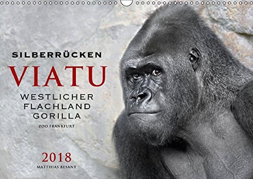SILBERRÜCKEN VIATU (Wandkalender 2018 DIN A3 quer): Porträts vom Gorilla-Mann VIATU (Monatskalender, 14 Seiten ) (CALVENDO Tiere)