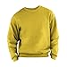 Fruit Of The Loom Mens Set-In Belcoro® Yarn Sweatshirt (S) (White)