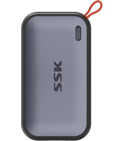 Intenso Externe SSD TX100, 500 GB Portable Solid State Drive, Super Speed USB 3.2 Gen 1x1 (5 Gbps), tot 500 MB/s