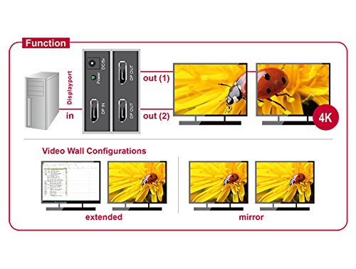 DELOCK Splitter Displayport 1.2 Buchse> 2 x Displayport Buchse - 4