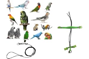 BLUSUPERSHOP PETTORINA PAPPAGALLI regolabile MISURA da cocorite ad amazzone 3mm elastica E nastro 10mm, fibbie plastica GUINZAGLIO 3mm nero 1M (verde fluo)