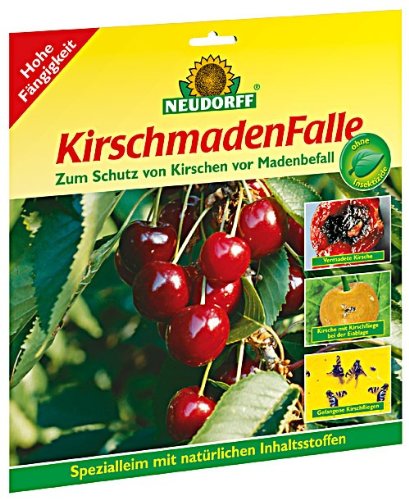 Neudorff 33435 Kirschmadenfalle 7 Stück