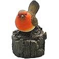 Vivid Arts Robin on a Log