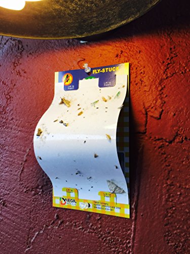 FLY-STUCK – Fliegenfalle Mottenfalle Fruchtfliegenfalle – Einweg Ungiftig Klebrig geklebt Papier – Wertpaket 10 (20 x 13 cm) - 3