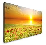 Unsere Leinwand-Rahmen sind aus echtem Kiefern- oder Fichtenholz und haben standardmäßig eine Tiefe von knapp 22 mm. Unserer ökologischen Verantwortung sind wir uns stets bewusst, verwenden nachwachsende Rohstoffe sowie lösungsmittelfreie Tinten und achten darauf, dass der im Onlinehandel leider nicht ganz vermeidbare Verpackungsmüll etc. so minimal wie möglich ausfällt.