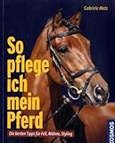 Image de So pflege ich mein Pferd: Die besten Tipps für Fell, Mähne, Styling