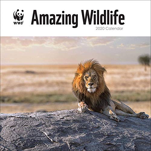 Télécharger WWF Amazing Wildlife Square Wall Calendar 2020 PDF Ebook En Ligne