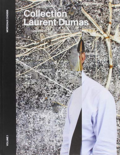Download Collection Laurent Dumas - Morceaux choisis - Volume 1 Download Collection Laurent Dumas - Morceaux choisis - Volume 1