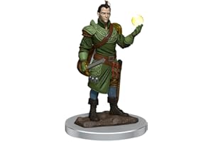 WizKids- D&D Icons of The Realms Premium Figures: Maschio Mezzo Elfo Bard Male Half-Elf Miniature, Colore Varie, WZK93057