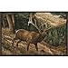 Produktbild Custom Printed Rugs CPR Roaming High Country Elk Rug