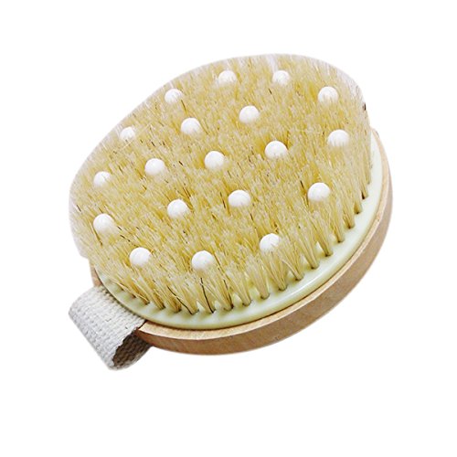 Pixnor Lymphatic Detox Brush with Natural Bristle and Rubber Nodules