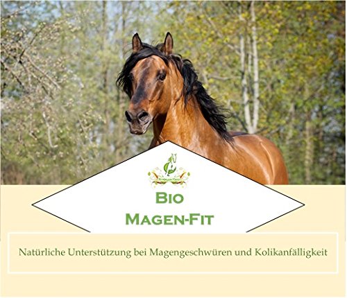 Preisvergleich Produktbild Bio Magen-Fit 1300g