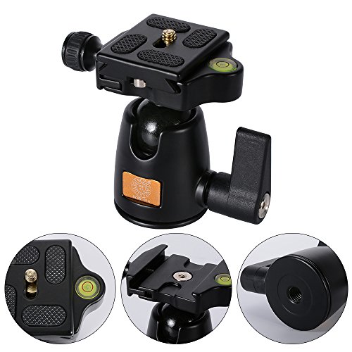 XCSOURCE Q555 Tr pied Monopode T te Sph rique Photographie et Rotule Professional Portable Aluminium en Alliage Magn sium pour DSLR cam ra DV Canon Nikon Pentax Sony Tr pied Hauteur Max 55 9 la charge max 8KG LF393 reviews XCSOURCE Q555 Tr pied Monopode T te Sph rique Photographie et Rotule Professional Portable Aluminium en Alliage Magn sium pour DSLR cam ra DV Canon Nikon Pentax Sony Tr pied Hauteur Max 55 9 la charge max 8KG LF393