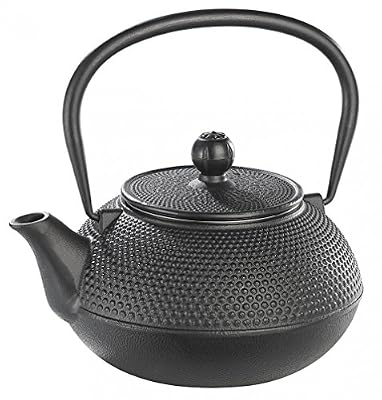 Rosenstein & Söhne Théière asiatique en fonte 0,9 litre
