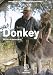 Donkey ( Kenjac ) ( Somaro ) [ Origine Olandese, Nessuna Lingua Italiana ]