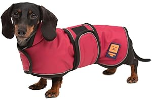 Ginger Ted Waterproof Dachshund Coat size 10"/25cm Cherry Red - for short-legged breeds, warm fleecy lining, reflective piping, quick fastening, jacket raincoat style