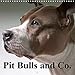 Produktbild Pit Bulls and Co. (Wall Calendar 2020 300 × 300 mm Square): BSL - Dogs between truth and propaganda (Monthly calendar, 14 pages )