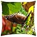 Produktbild Xukmefat Butterfly - Throw Pillow Cover Case 18"x 18"