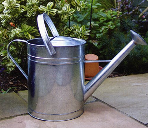 Greenkey 10 L, verzinkt, traditionellem Sprüher - 2