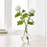Decorative Glass Vase, 17 Cm