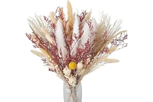 SCLLNDA Pampasgras Getrocknet Trockenblumen Deko Schleierkraut Getrocknet Blumen Pampasgras Deko Blumenstrauß Boho Strauß Lagurus Dried Flowers Pampas Grass für Tischdeko Zimmer Fotografie Hochzeit