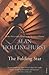 The Folding Star: Historical Fiction (English Edition) by 