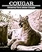 Produktbild Amazing Facts about Cougar