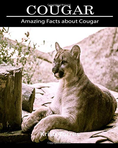 Preisvergleich Produktbild Amazing Facts about Cougar