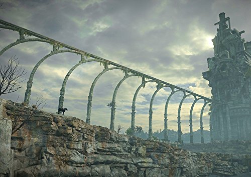 Preisvergleich Produktbild Shadow of the Colossus Poster