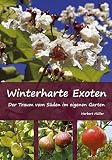 Image de Winterharte Exoten: Der Traum vom Süden im eigenen Garten