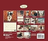 Image de Dogs We Love 2017 Calendar
