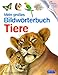 Mein großes Bildwörterbuch Tiere by 