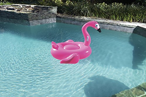 bestway flamingo float