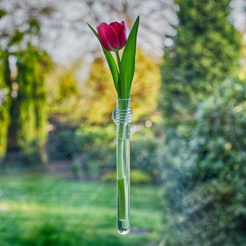 Rosie – Vase mit Saugnapf - 4