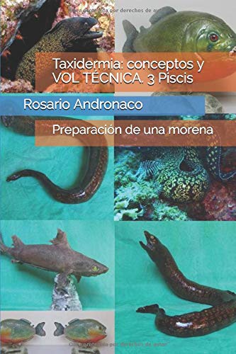 Taxidermia: conceptos y VOL TÉCNICA. 3 Piscis: Preparación de una morena